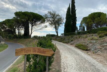Peaceful Dordogne Estate Surrounded by Nature - Veyrines-de-Domme, France