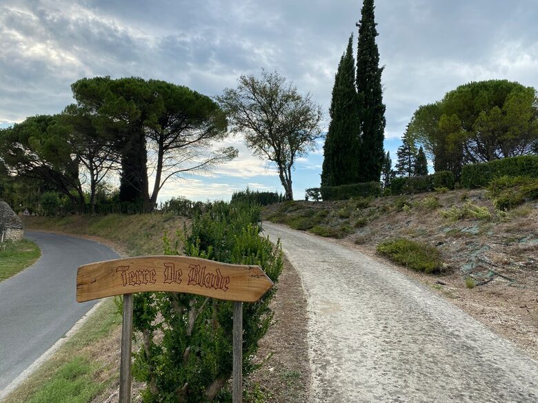 Peaceful Dordogne Estate Surrounded by Nature - Veyrines-de-Domme, France