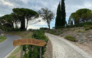 Peaceful Dordogne Estate Surrounded by Nature - Veyrines-de-Domme, France