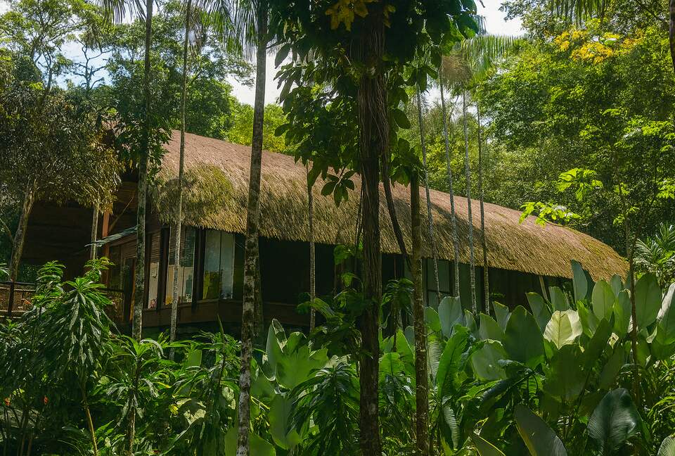 Exclusive Ecological Home Surrounded by Nature - Sao Sebastiao, Brazil