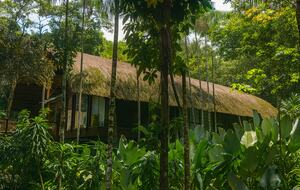 Exclusive Ecological Home Surrounded by Nature - Sao Sebastiao, Brazil