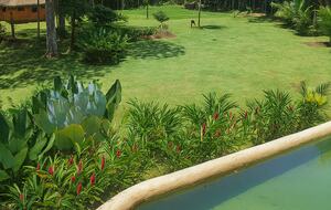 Exclusive Ecological Home Surrounded by Nature - Sao Sebastiao, Brazil