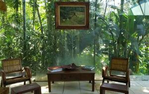 Exclusive Ecological Home Surrounded by Nature - Sao Sebastiao, Brazil