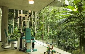 Exclusive Ecological Home Surrounded by Nature - Sao Sebastiao, Brazil