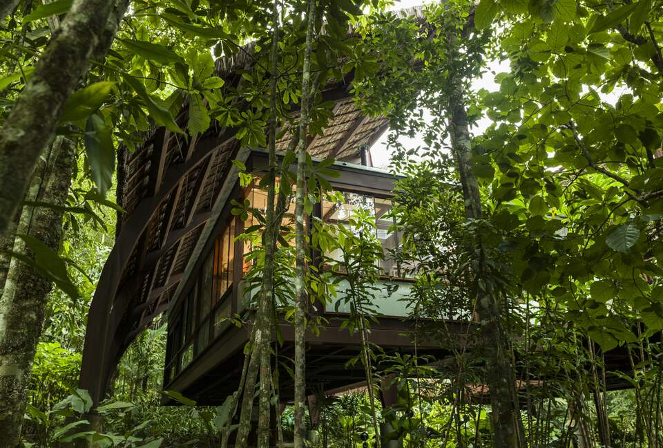Exclusive Ecological Home Surrounded by Nature - Sao Sebastiao, Brazil