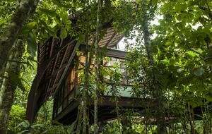 Exclusive Ecological Home Surrounded by Nature - Sao Sebastiao, Brazil
