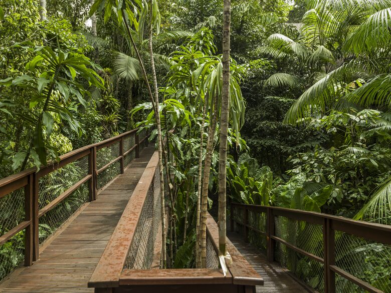 Exclusive Ecological Home Surrounded by Nature - Sao Sebastiao, Brazil