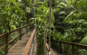 Exclusive Ecological Home Surrounded by Nature - Sao Sebastiao, Brazil