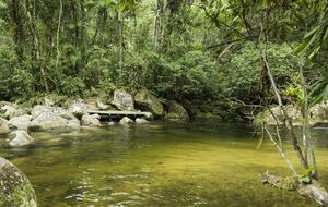 Exclusive Ecological Home Surrounded by Nature - Sao Sebastiao, Brazil