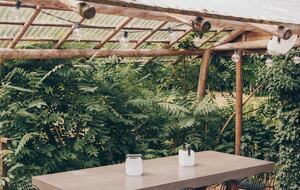 A Sophisticated Retreat with Swimming Pond and Guesthouse - Hulshorst, Netherlands