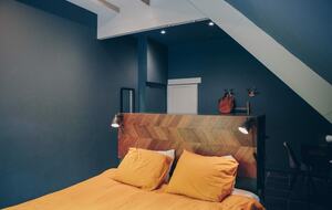 A Sophisticated Retreat with Swimming Pond and Guesthouse - Hulshorst, Netherlands