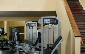 Birch at Streamside | Warm 1BR Retreat Steps from Adventure - Vail, Colorado