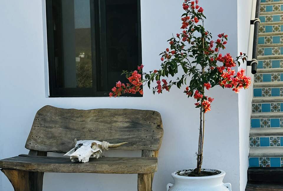 Elegant Baja Retreat with Ocean & Mountain Views - Playa Los Cerritos, Mexico