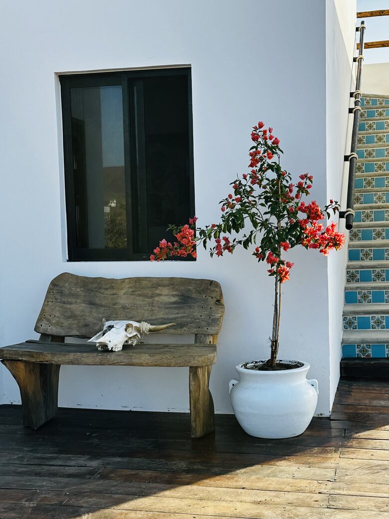 Elegant Baja Retreat with Ocean & Mountain Views - Playa Los Cerritos, Mexico