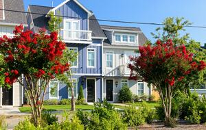 Quintess Collection - Painted Lady - Nashville, Tennessee