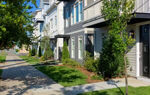 Quintess Collection - Painted Lady - Nashville, Tennessee