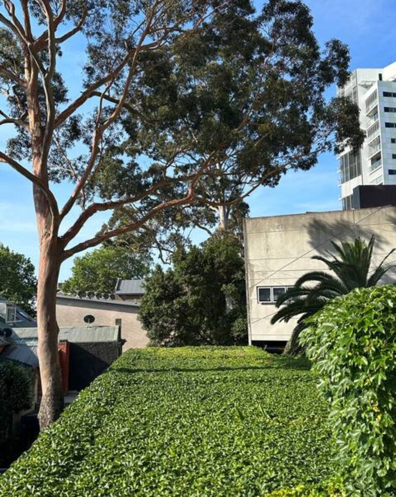 Modern Sydney Terrace House - Surry Hills, Australia