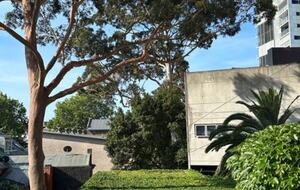 Modern Sydney Terrace House - Surry Hills, Australia