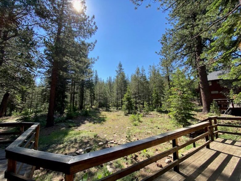 Sleeping Bear Cabin | Forest View Mountain Retreat in Truckee - Truckee, California