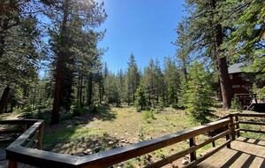 Sleeping Bear Cabin | Forest View Mountain Retreat in Truckee - Truckee, California