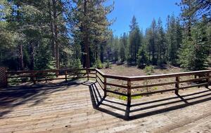 Sleeping Bear Cabin | Forest View Mountain Retreat in Truckee - Truckee, California