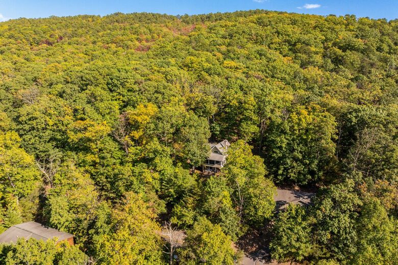 Wellness & Adventure Retreat with Scenic Views - Massanutten, Virginia