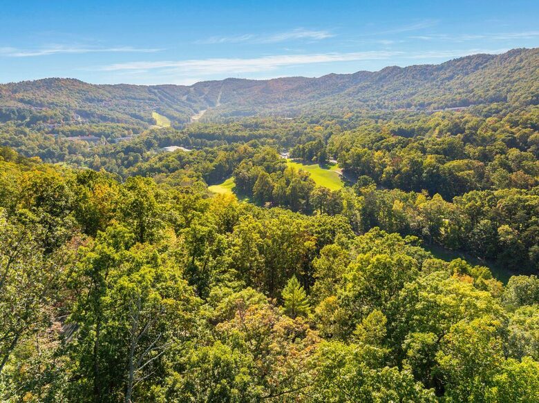 Wellness & Adventure Retreat with Scenic Views - Massanutten, Virginia