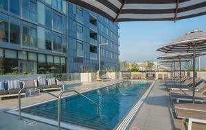 Quintess Collection - Wells - Chicago, Illinois