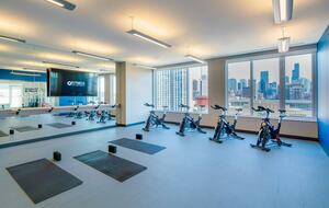 Quintess Collection - Wells - Chicago, Illinois