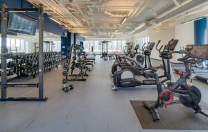 Quintess Collection - Wells - Chicago, Illinois