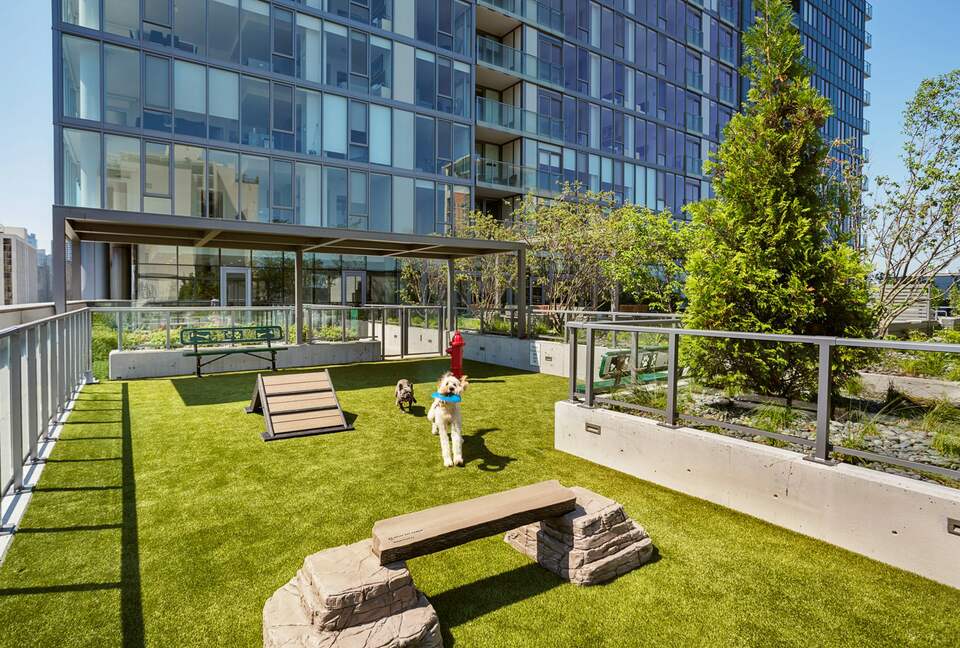 Quintess Collection - Wells - Chicago, Illinois