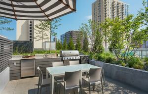 Quintess Collection - Wells - Chicago, Illinois