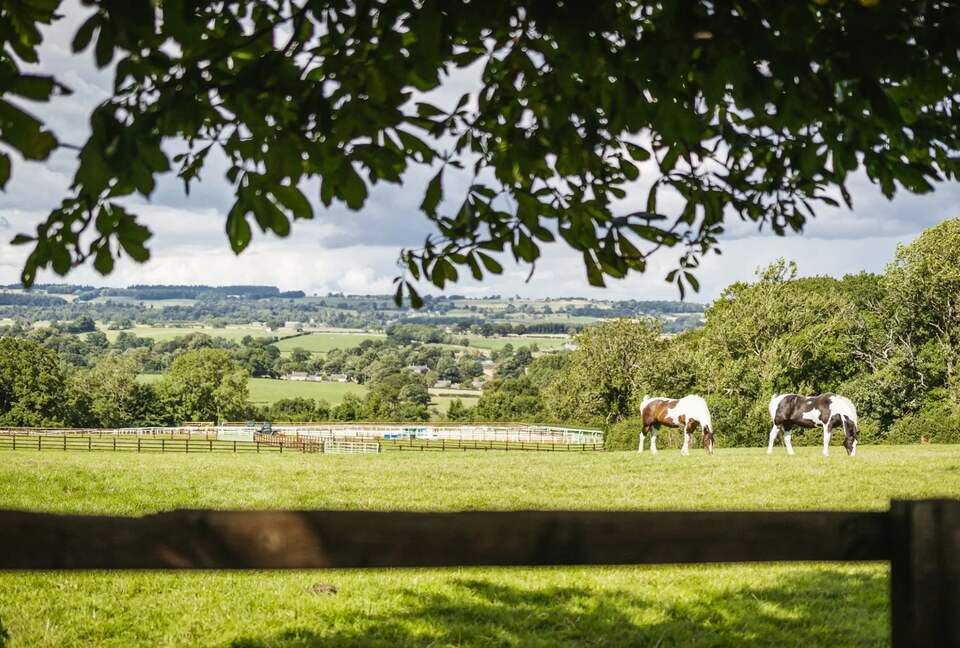 Sun Hill Farmhouse - Constable Burton, Leyburn, United Kingdom