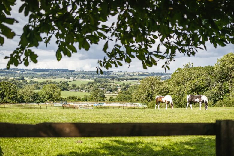 Sun Hill Farmhouse - Constable Burton, Leyburn, United Kingdom