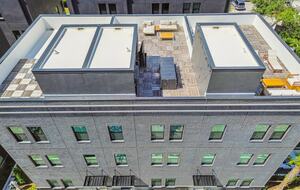 Urban Oasis with Rooftop Views in Tampa - Tampa, Florida