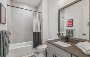 Urban Oasis with Rooftop Views in Tampa - Tampa, Florida