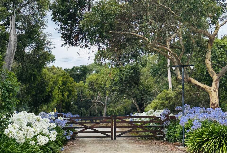 Countryside Grandeur with Private Lake and Tennis Court - Moorooduc, Australia