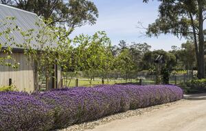 Countryside Grandeur with Private Lake and Tennis Court - Moorooduc, Australia