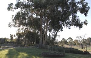 Countryside Grandeur with Private Lake and Tennis Court - Moorooduc, Australia