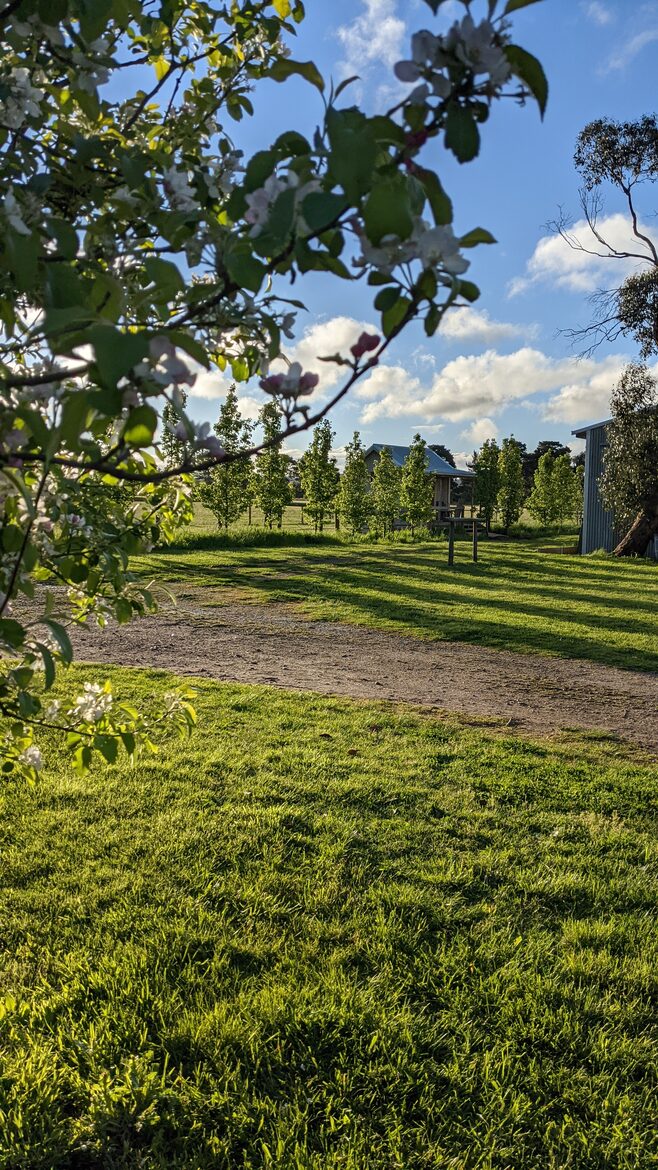 Countryside Grandeur with Private Lake and Tennis Court - Moorooduc, Australia