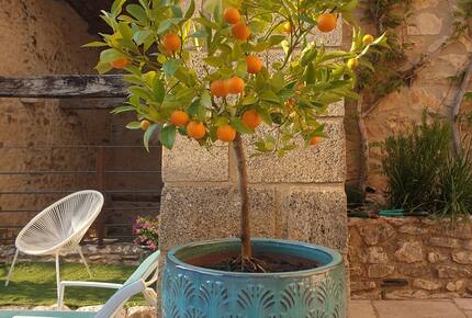 Charming Stone House with Pool - Pouzilhac, France