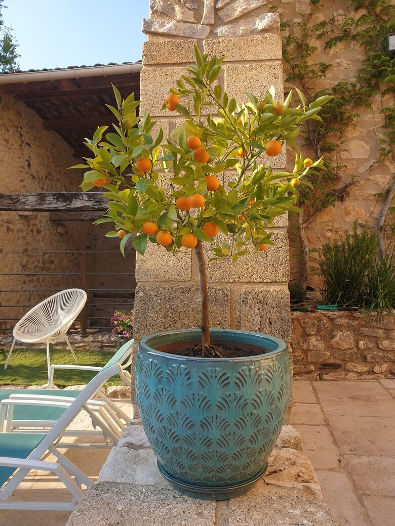 Charming Stone House with Pool - Pouzilhac, France