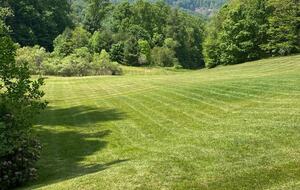 Rustic Elegance in the Blue Ridge | Main Lodge & Restored Log Cabin - Newland, North Carolina