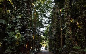 An Exquisite Brazilian Estate Surrounded by Nature - Itatiba, Brazil