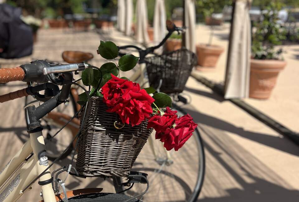 Villa San Lorenzo Umbrian Estate - Castiglione Del Lago, Italy