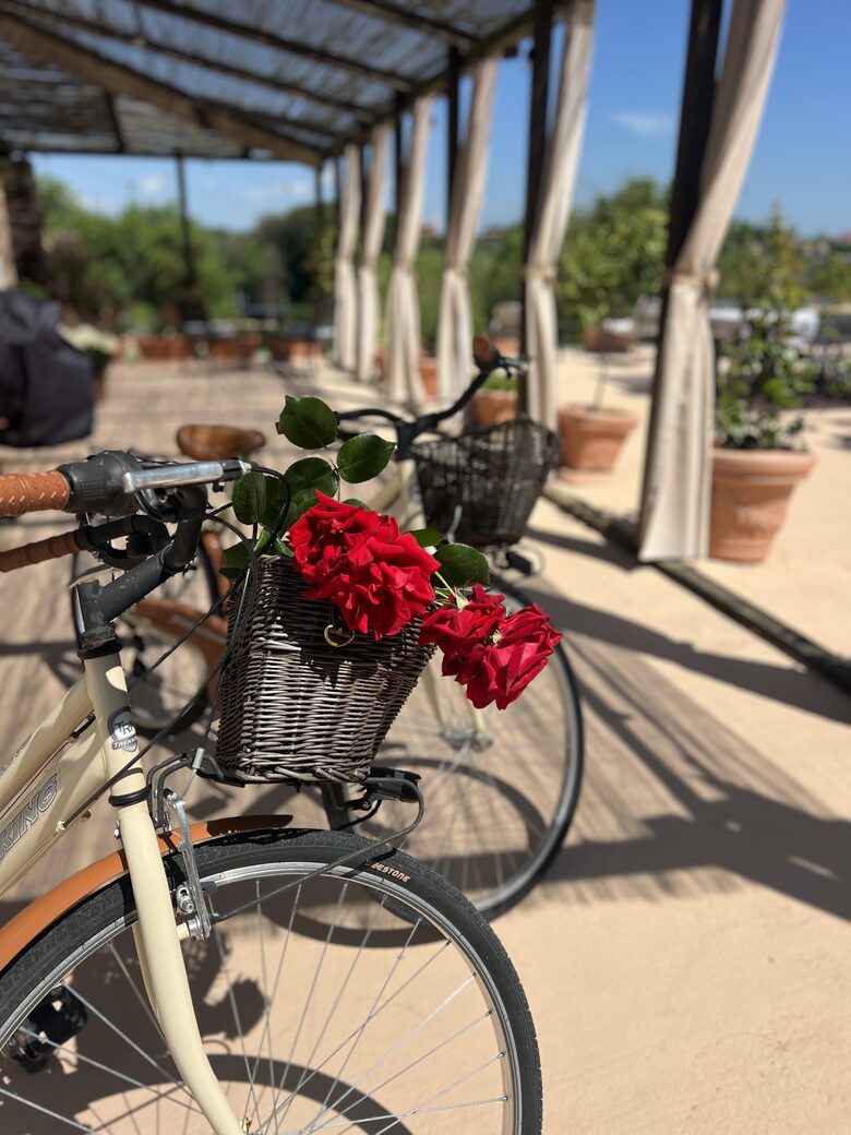 Villa San Lorenzo Umbrian Estate - Castiglione Del Lago, Italy