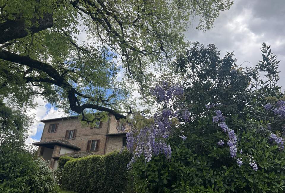 Villa San Lorenzo Umbrian Estate - Castiglione Del Lago, Italy