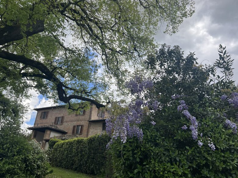 Villa San Lorenzo Umbrian Estate - Castiglione Del Lago, Italy