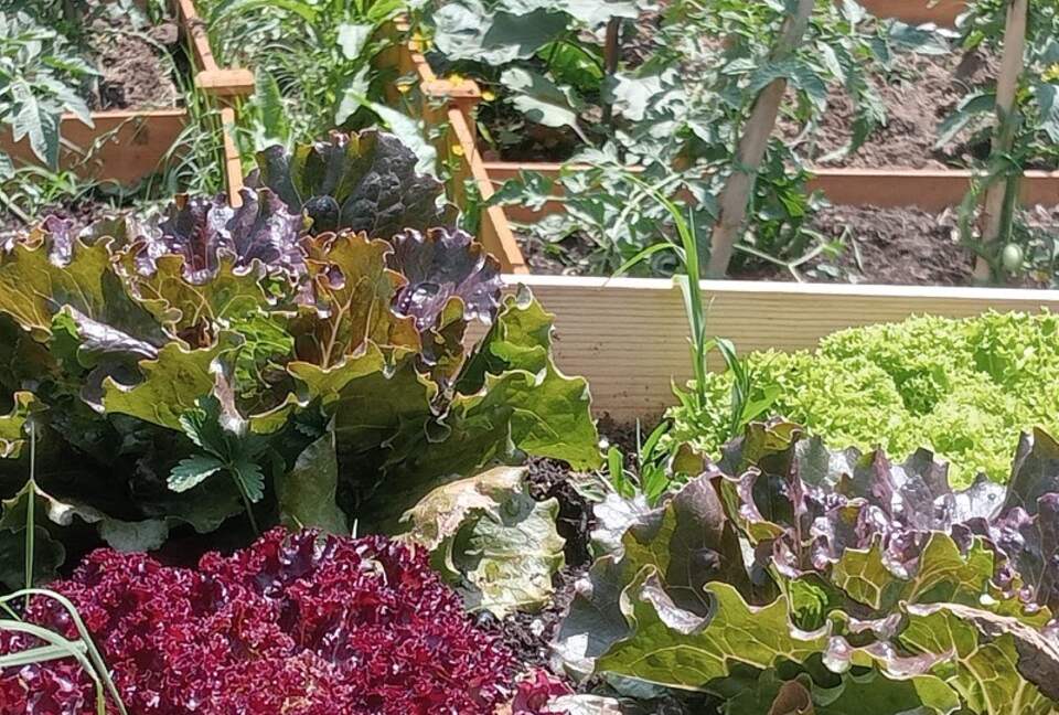 Villa San Lorenzo Umbrian Estate - Castiglione Del Lago, Italy