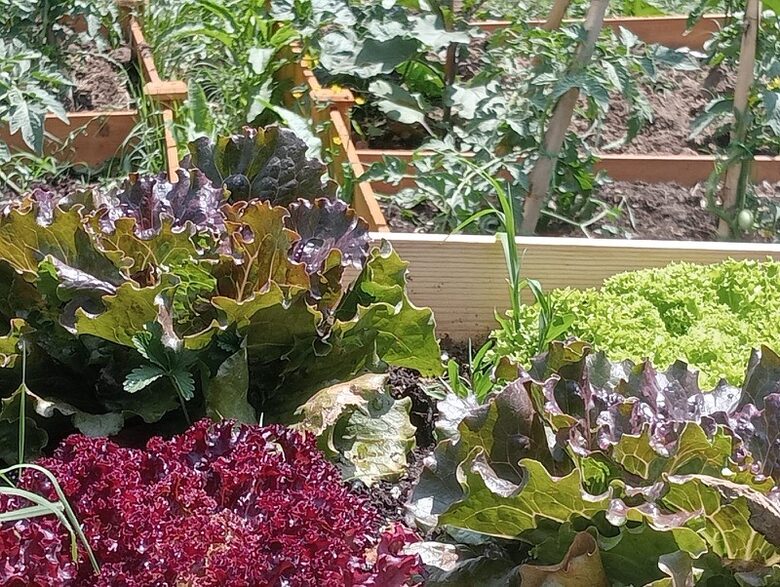 Villa San Lorenzo Umbrian Estate - Castiglione Del Lago, Italy